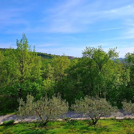 Apartma Lavanda Kojsko 外观 照片