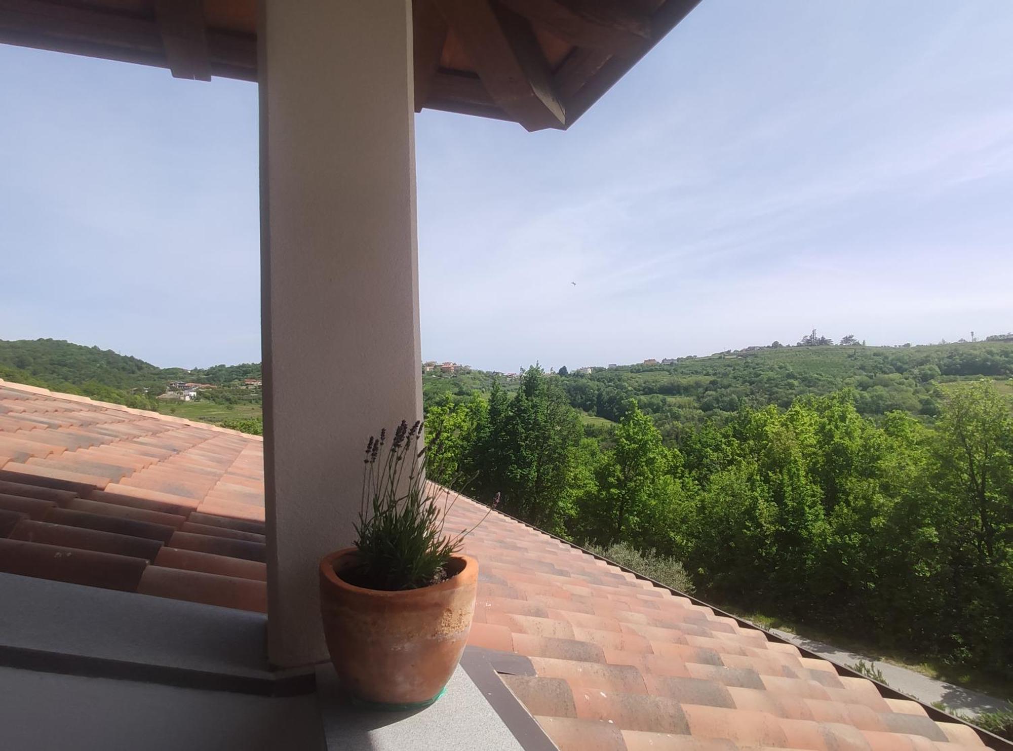 Apartma Lavanda Kojsko 外观 照片