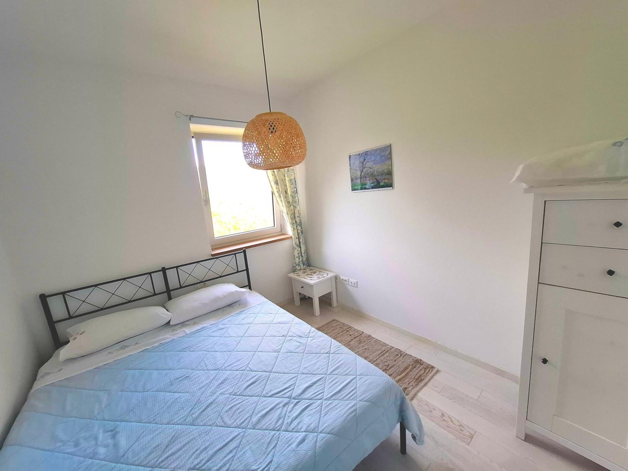 Apartma Lavanda Kojsko 外观 照片